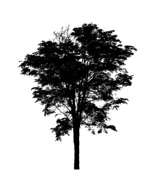Beyaz arkaplanda fırça için ağaç silueti