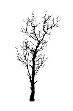 Beyaz arkaplanda fırça için ağaç silueti