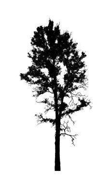 Beyaz arkaplanda fırça için ağaç silueti