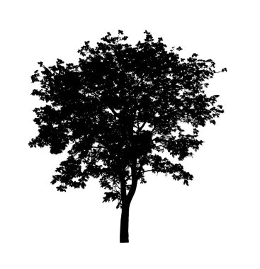 Beyaz arkaplanda fırça için ağaç silueti