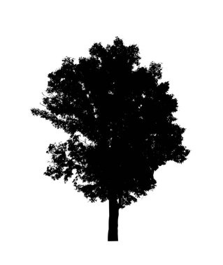 Beyaz arkaplanda fırça için ağaç silueti