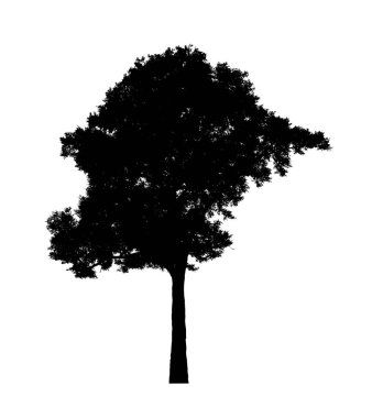 Beyaz arkaplanda fırça için ağaç silueti