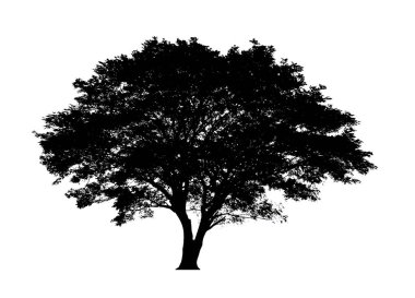 Beyaz arkaplanda fırça için ağaç silueti