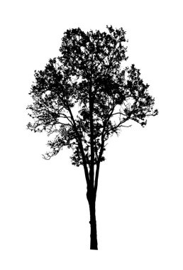 Beyaz arkaplanda fırça için ağaç silueti