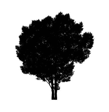 Beyaz arkaplanda fırça için ağaç silueti