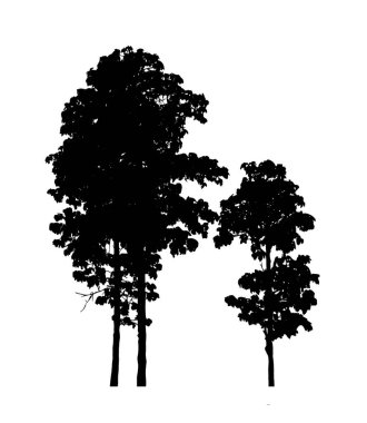 Beyaz arkaplanda fırça için ağaç silueti