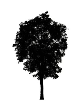 Beyaz arkaplanda fırça için ağaç silueti