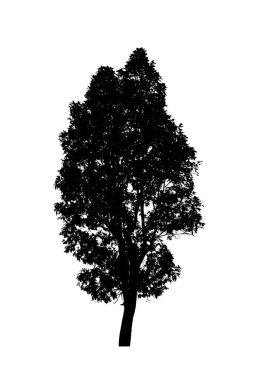 Beyaz arkaplanda fırça için ağaç silueti
