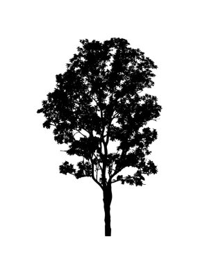 Beyaz arkaplanda fırça için ağaç silueti