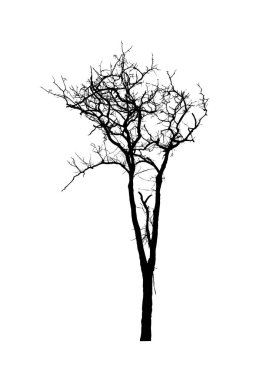 Beyaz arkaplanda fırça için ağaç silueti
