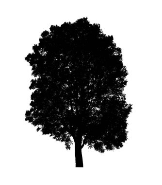 Beyaz arkaplanda fırça için ağaç silueti