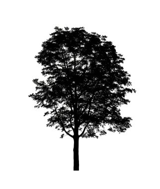 Beyaz arkaplanda fırça için ağaç silueti