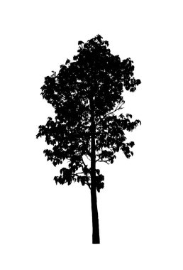 Beyaz arkaplanda fırça için ağaç silueti