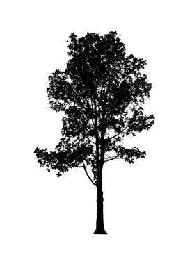 Beyaz arkaplanda fırça için ağaç silueti