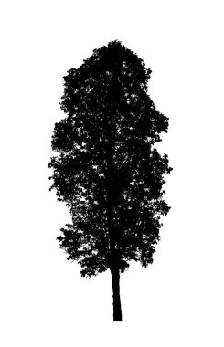 Beyaz arkaplanda fırça için ağaç silueti