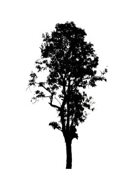 Beyaz arkaplanda fırça için ağaç silueti