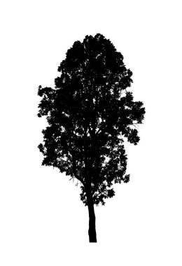 Beyaz arkaplanda fırça için ağaç silueti