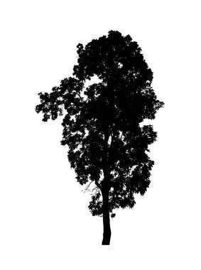Beyaz arkaplanda fırça için ağaç silueti