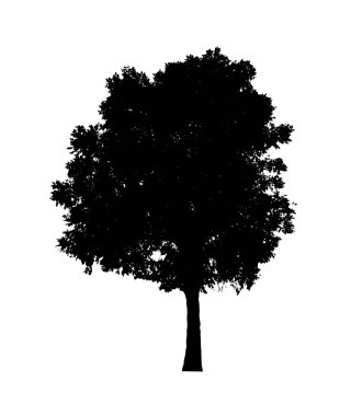 Beyaz arkaplanda fırça için ağaç silueti