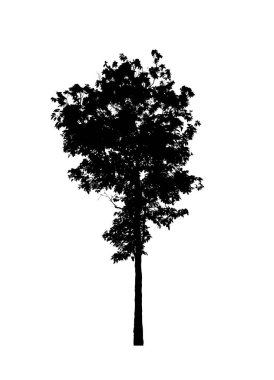 Beyaz arkaplanda fırça için ağaç silueti