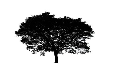 Beyaz arkaplanda fırça için ağaç silueti