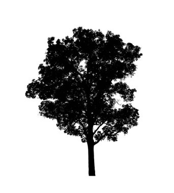 Beyaz arkaplanda fırça için ağaç silueti