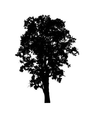 Beyaz arkaplanda fırça için ağaç silueti