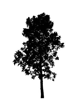 Beyaz arkaplanda fırça için ağaç silueti