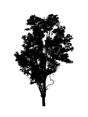 Beyaz arkaplanda fırça için ağaç silueti