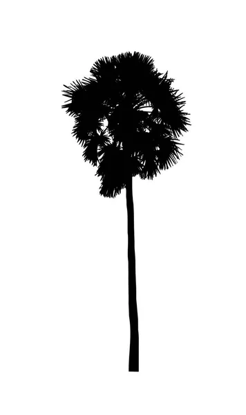 Tree Silhouette Brush White Background — Stock Photo, Image