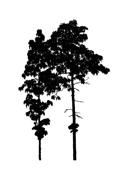 Tree Silhouette Brush White Background — Stock Photo, Image