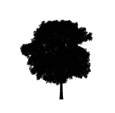Beyaz arkaplanda fırça için ağaç silueti