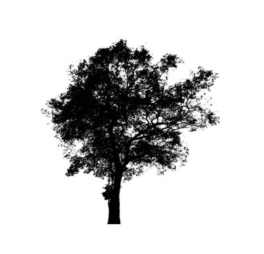 Beyaz arkaplanda fırça için ağaç silueti