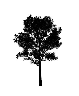 Beyaz arkaplanda fırça için ağaç silueti