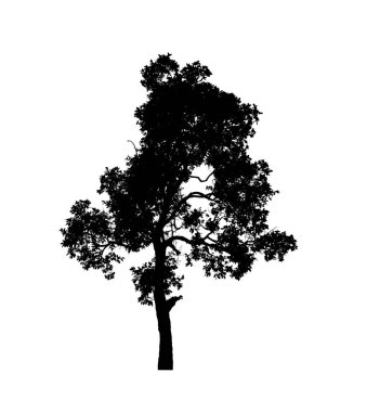 Beyaz arkaplandaki fırça için izole ağaç silueti