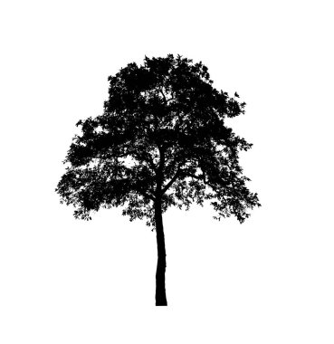 Beyaz arkaplandaki fırça için izole ağaç silueti