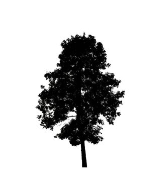 Beyaz arkaplandaki fırça için izole ağaç silueti