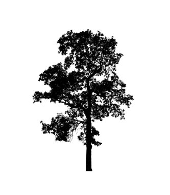 Beyaz arkaplandaki fırça için izole ağaç silueti