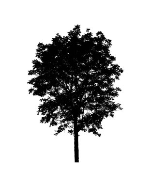 Beyaz arkaplandaki fırça için izole ağaç silueti