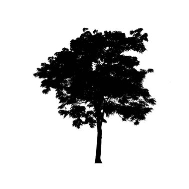 Beyaz arkaplandaki fırça için izole ağaç silueti