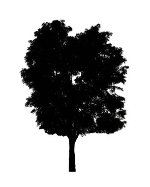 Beyaz arkaplanda fırça için ağaç silueti