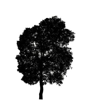 Beyaz arkaplandaki fırça için izole ağaç silueti