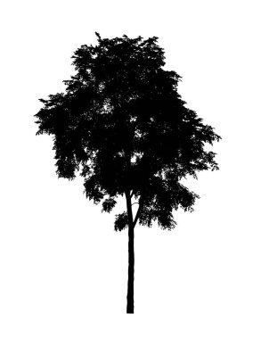Beyaz arkaplanda fırça için ağaç silueti