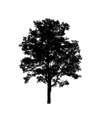 Beyaz arkaplandaki fırça için izole ağaç silueti