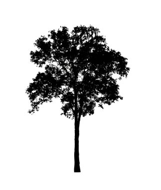 Beyaz arkaplanda fırça için ağaç silueti