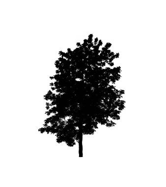 Beyaz arkaplanda fırça için ağaç silueti