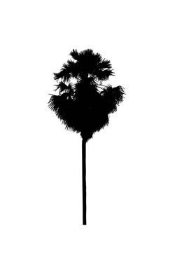 Beyaz arkaplanda fırça için ağaç silueti