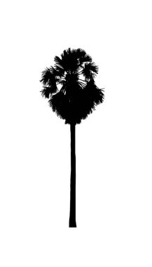 Beyaz arkaplanda fırça için ağaç silueti