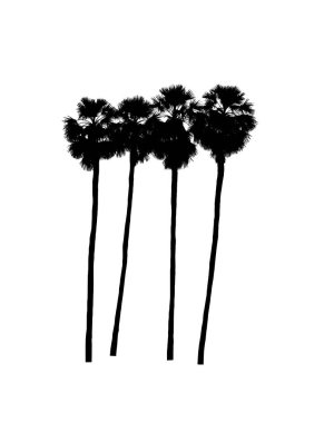 Beyaz arkaplanda fırça için ağaç silueti