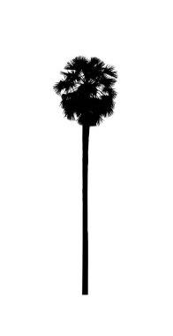 Beyaz arkaplanda fırça için ağaç silueti